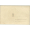 2 Cows & Calf On Pasture / Horns - Cattle (Vintage RPPC)