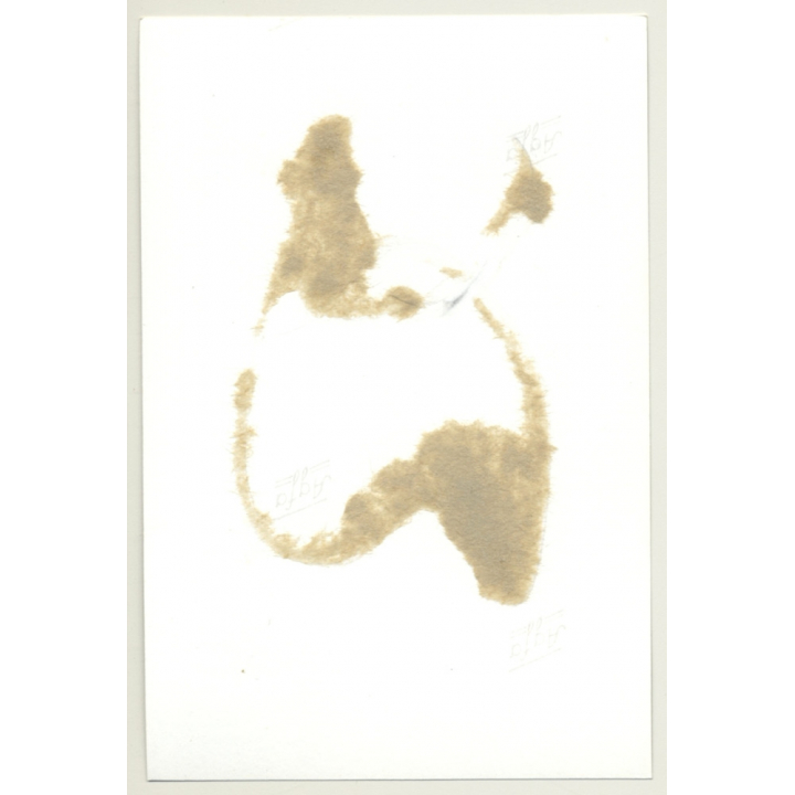 Pretty Blonde In Leather Fetish Suit *1 / High Boots (Vintage Photo GDR ~ 1960s)