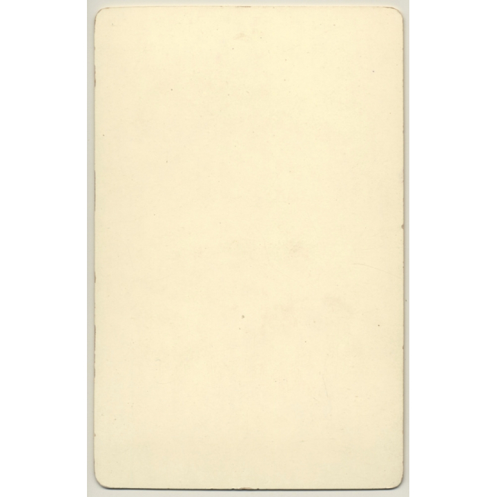 Large Belgian Family On Meadow / 4 Generations (Vintage Cabinet Card ~1890s/1900s)