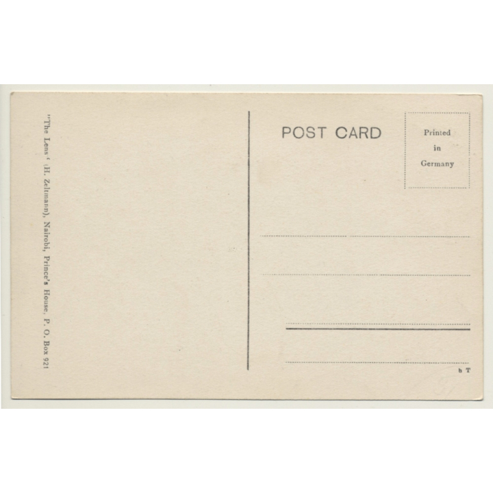 Kenya: Malindi-Mombasa Road / Oldtimer - Palms (Vintage RPPC ~1920s/1930s)