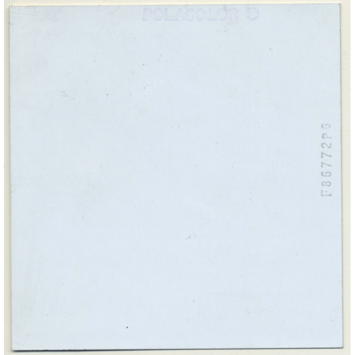 Semi Nude Woman On White Box / Wolfgang Klein (Vintage Polaroid Viva 1980s)