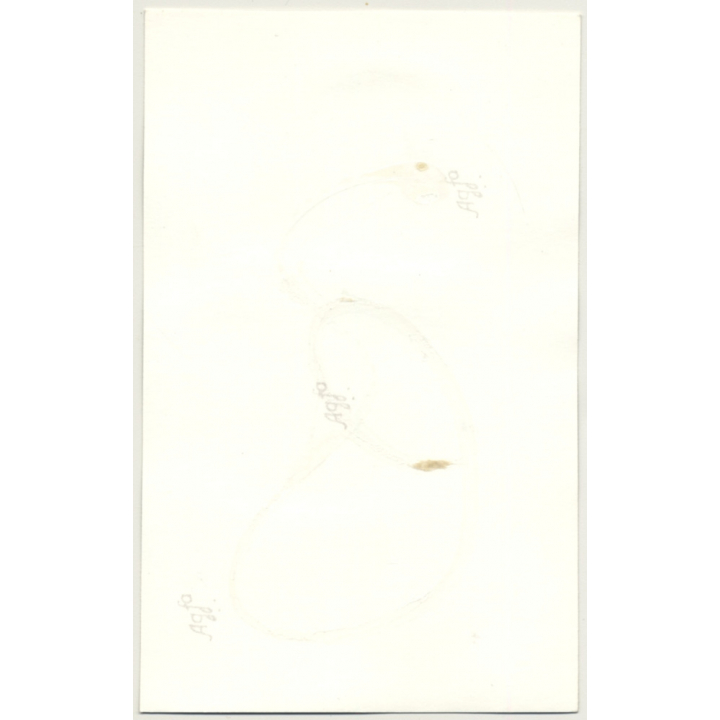 Mature Woman In Fetish Corset *1 / Nipple Tassils - BDSM (Vintage Photo GDR ~ 1960s)