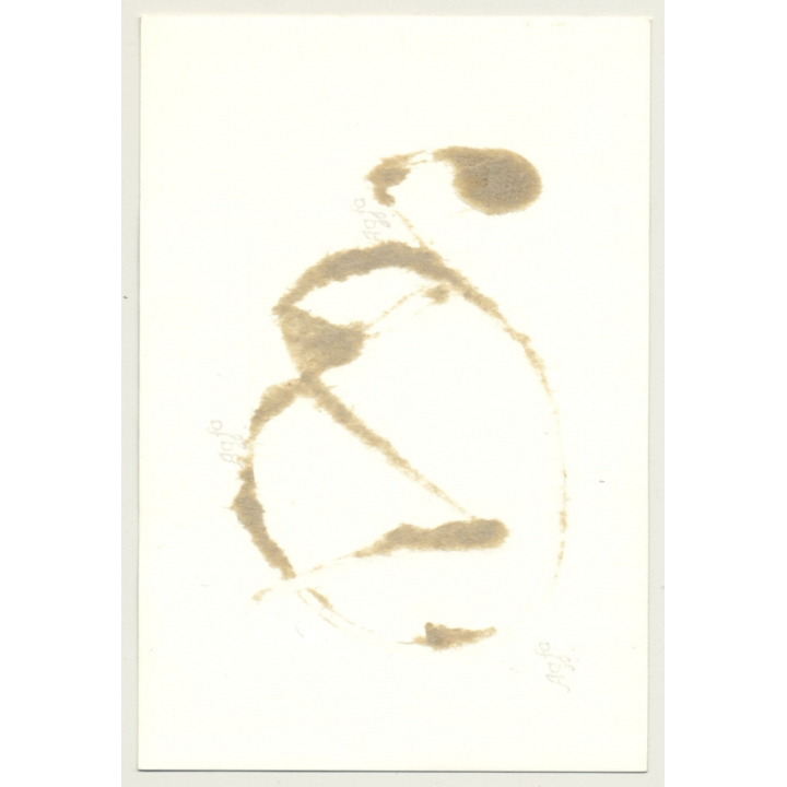 Chubby Nude In Corset With Collar & Leash *3 / Fetish - BDSM (Vintage Photo GDR ~ 1960s)