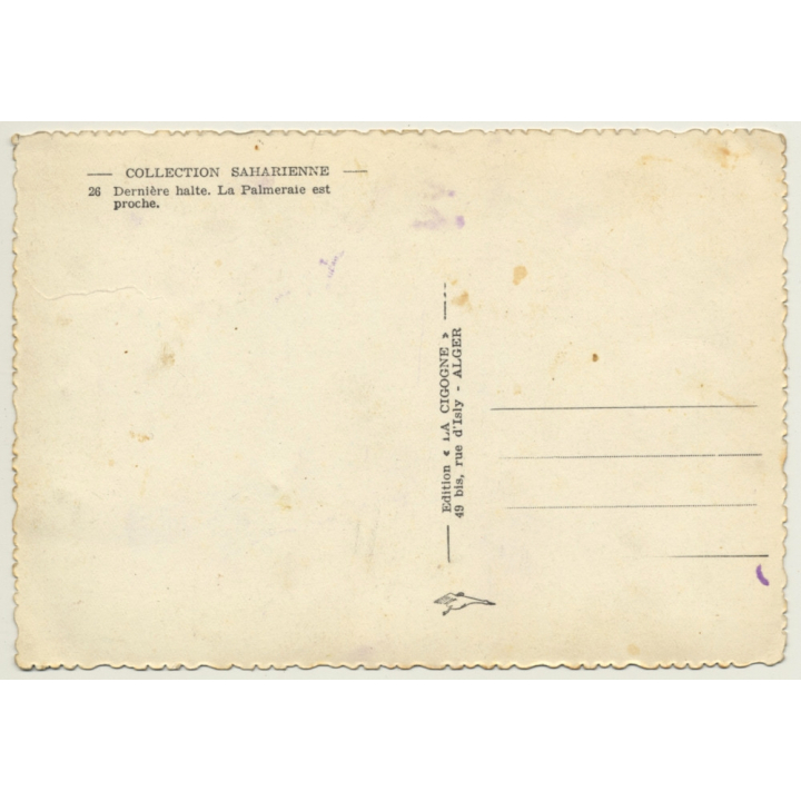 Sahara: Bedouins & Dromedaries On Dune (Vintage RPPC Ethnic)