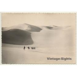 Bedouins Cross Sahara - Dromedaries - Dunes (Vintage RPPC Ethnic)
