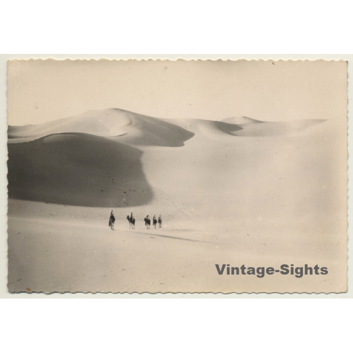 Bedouins Cross Sahara - Dromedaries - Dunes (Vintage RPPC Ethnic)