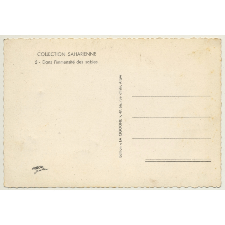 Bedouins Cross Sahara - Dromedaries - Dunes (Vintage RPPC Ethnic)