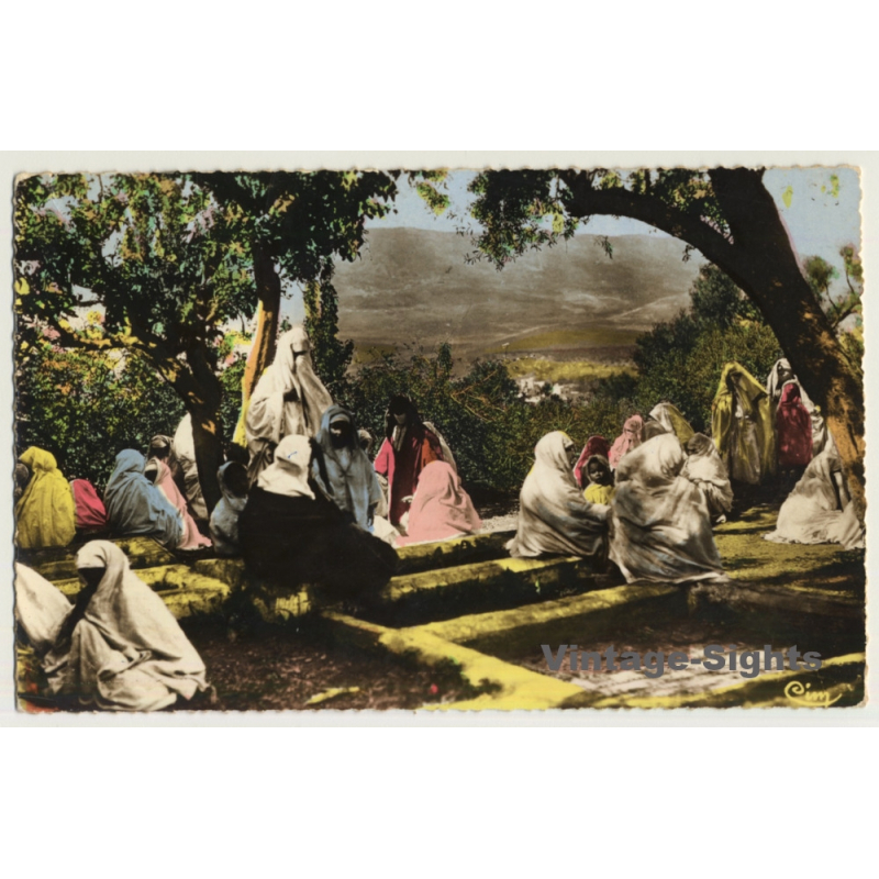 Scènes Et Types Du Maroc: Dans Le Cimetière Musulman (Vintage RPPC Ethnic)