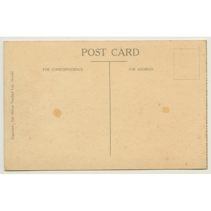 Mombasa / Kenya Colony: Climbing A Cocoanut Tree (Vintage PC Ethnic)