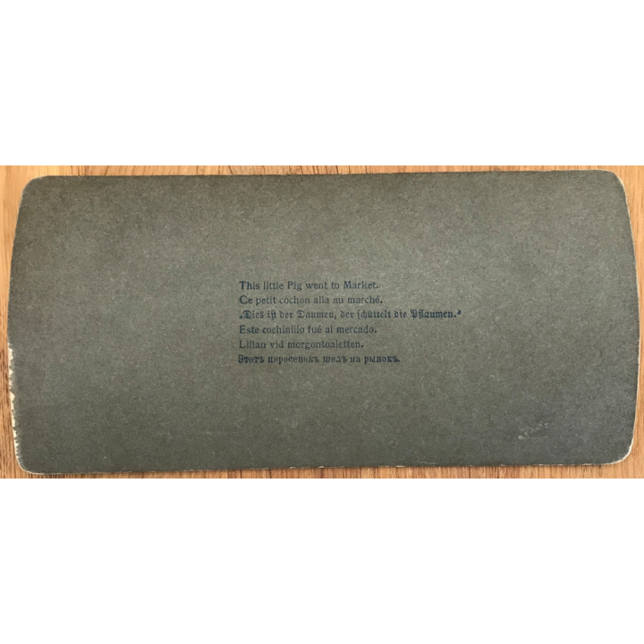 This Little Pig Went to Market / Baby Girl & Doll (Vintage Stereo Photo 1900)