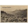 UK: Betws-y-Coed / Landscape (Vintage Postcard Judges LTD ~ 1900s)