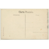 Musée Du Congo / Tervueren: Salle Des Reptiles, Batraciens, Insectes (Vintage PC ~1910s)