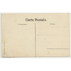 Musée Du Congo / Tervueren: Salle De Mammifères (Vintage PC ~1910s)
