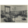 Musée Du Congo / Tervueren: Salle De Textiles (Vintage PC ~1910s)