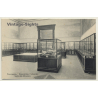 Musée Du Congo / Tervueren: Exposition Coloniale - Salle De Minerais (Vintage PC ~1910s)