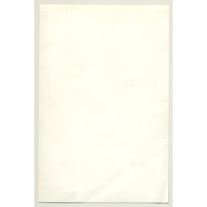 Natural Pretty Brunette Nude In Wicker Chair *7 / Interior (Vintage Photo Germany ~ 1960s)