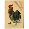Rooster - Cock - Poultry / Paul Finkenrath (Vintage Hand Tinted PC 1900s)
