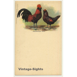 Pausbäckchen Dorés - Bearded Chicken (Vintage PC 1900s)