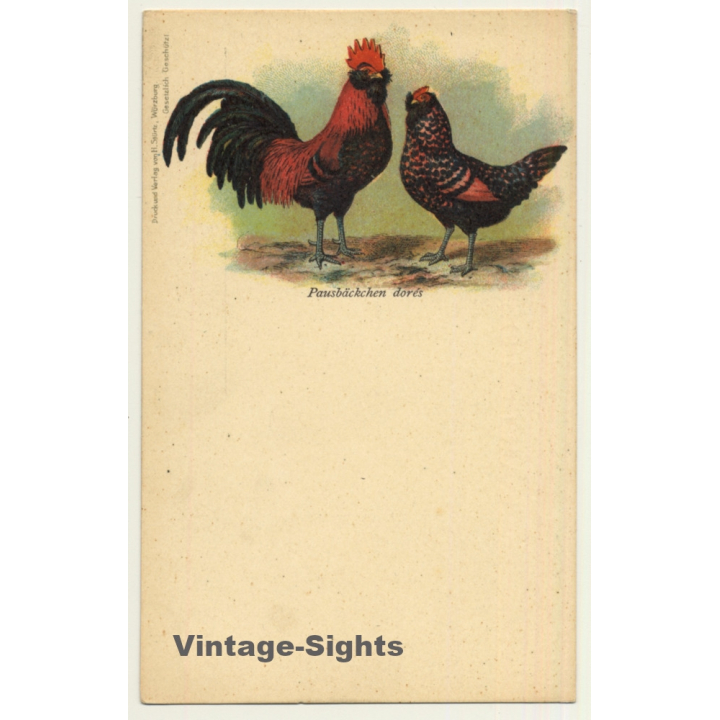 Pausbäckchen Dorés - Bearded Chicken (Vintage PC 1900s)