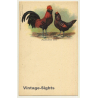 Pausbäckchen Dorés - Bearded Chicken (Vintage PC 1900s)