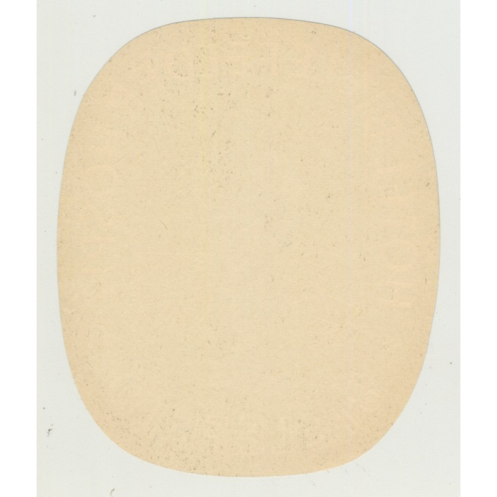 Hotel Bielefelder Hospiz - Bielefeld / Germany (Vintage Luggage Label)