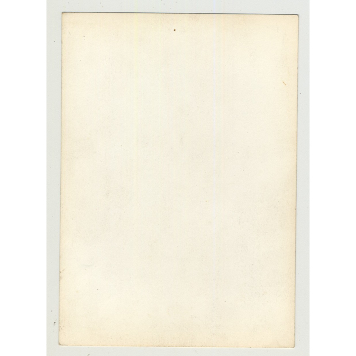 Voluptuous Nude With Huge Breasts 6 (Vintage Photo: Spain 1960s/1970s)