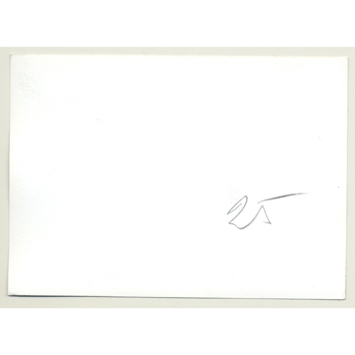 Topless Blonde 80s Nude *1 / Lace - Boobs  (Vintage Photo GDR 1980s)