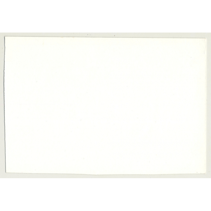 Brunette Nude In Front Of South Seas Photo Wallpaper*3 (Vintage Photo GDR 1980s)