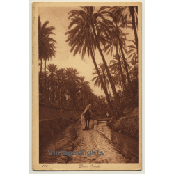 Lehnert & Landrock N° 141: Dans L'Oasis / Bedouins (Vintage PC ~1920s)