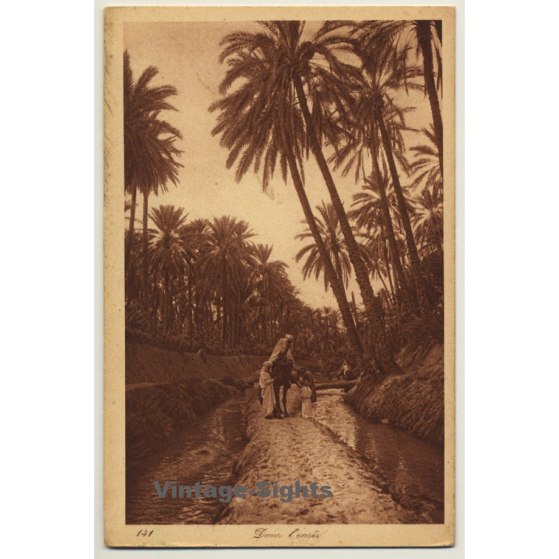 Lehnert & Landrock N° 141: Dans L'Oasis / Bedouins (Vintage PC ~1920s)