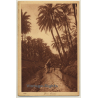 Lehnert & Landrock N° 141: Dans L'Oasis / Bedouins (Vintage PC ~1920s)
