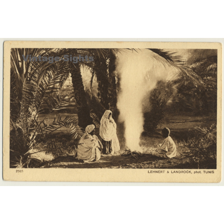 Lehnert & Landrock N° 2565: Autour Du Feu / Bedouins - Palms (Vintage PC ~1920s)
