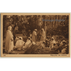 Lehnert & Landrock N° 145: Récolte De Dattes / Bedouins - Ethnic (Vintage PC ~1920s)