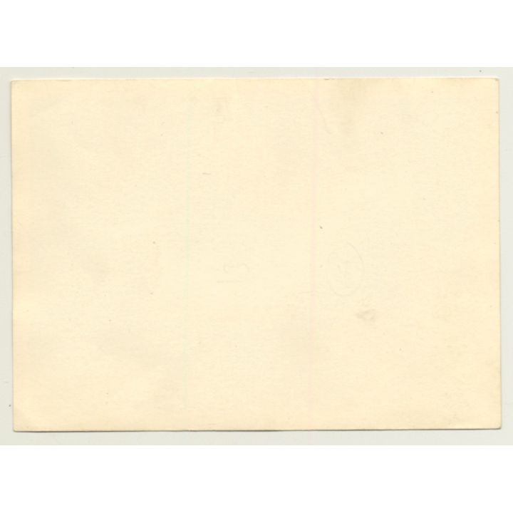 Topless Beauty Poses On Beach Rocks / Panties (Vintage Photo ~1950s)