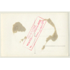 Bettie Page Lookalike *4 / Restraint - Rod - BDSM (Vintage RPPC 1964)