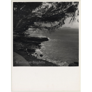 Mallorca / Marques De Santa Maria Del Villar: Coast *1 (Vintage Photo  ~1960s)