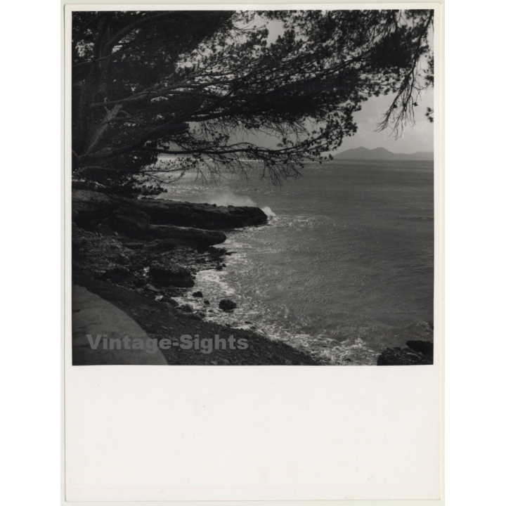 Mallorca / Marques De Santa Maria Del Villar: Coast *1 (Vintage Photo  ~1960s)