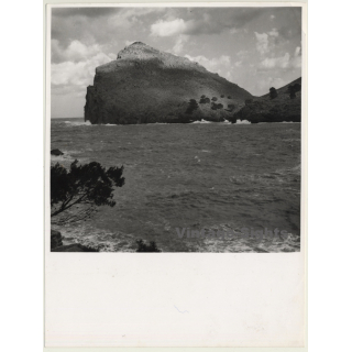 Mallorca / Marques De Santa Maria Del Villar: Coast *4 (Vintage Photo  ~1960s)