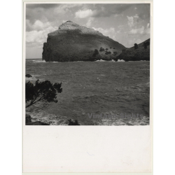 Mallorca / Marques De Santa Maria Del Villar: Coast *4 (Vintage Photo  ~1960s)