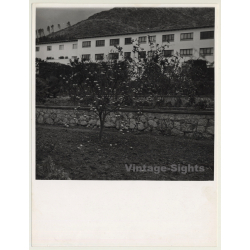 Mallorca / Marques De Santa Maria Del Villar: Finca (Vintage Photo  ~1960s)