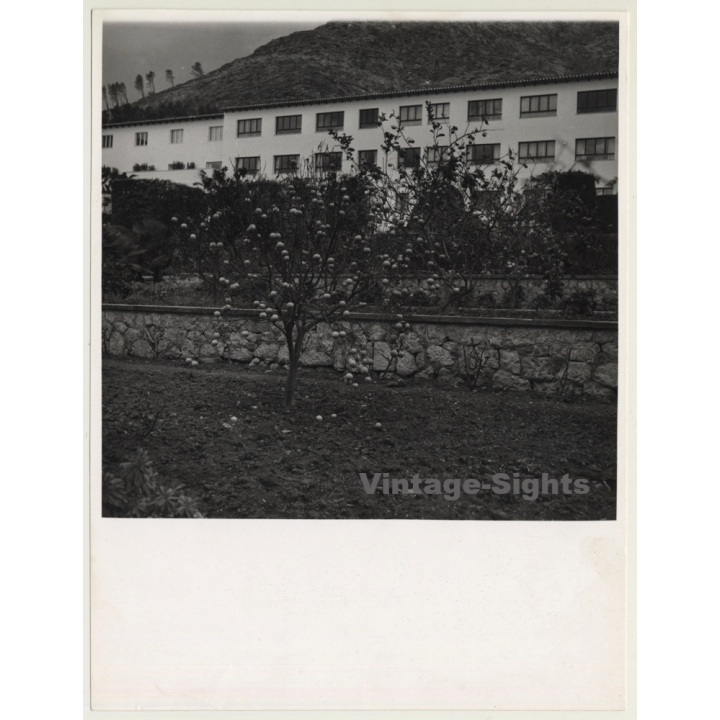 Mallorca / Marques De Santa Maria Del Villar: Finca (Vintage Photo  ~1960s)