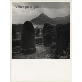 Mallorca / Marques De Santa Maria Del Villar: Coast *6 (Vintage Photo  ~1960s)