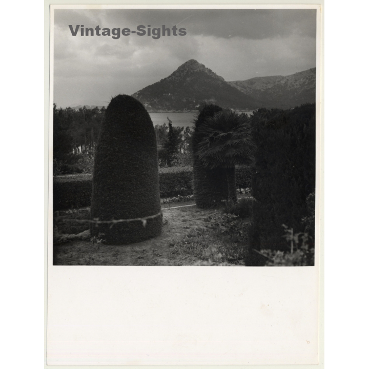 Mallorca / Marques De Santa Maria Del Villar: Coast *6 (Vintage Photo  ~1960s)