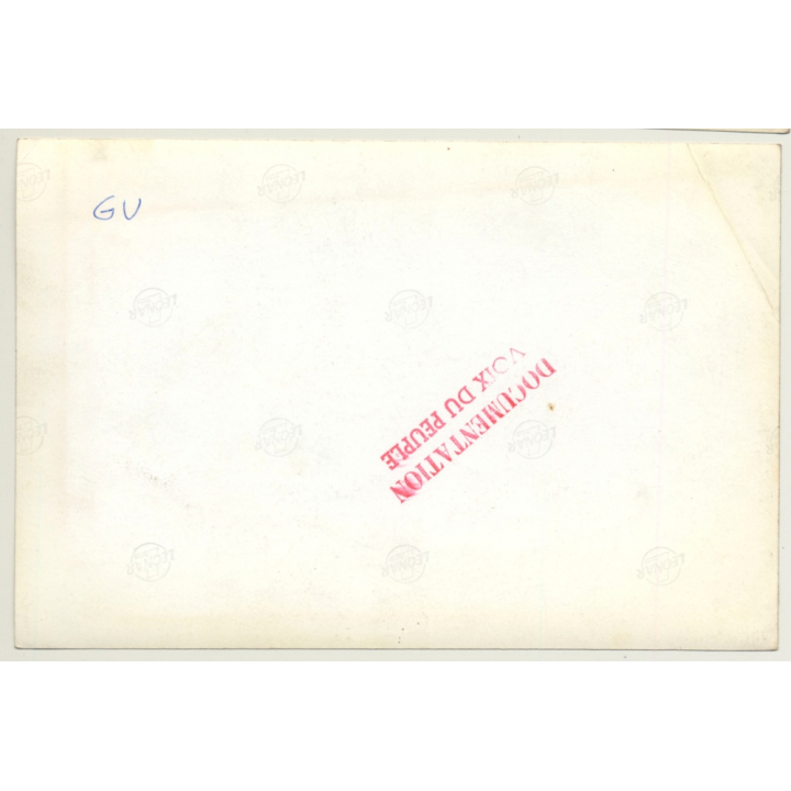 Bruxelles / Belgium: Demonstration Against Vietnam War (Vintage Press Photo  ~1960s)