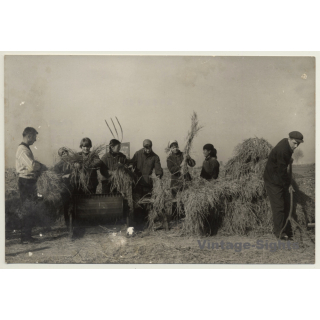 Foreign Experts Work In China's Peoples Communes / Culture Revolution (Vintage Press Photo 1966)