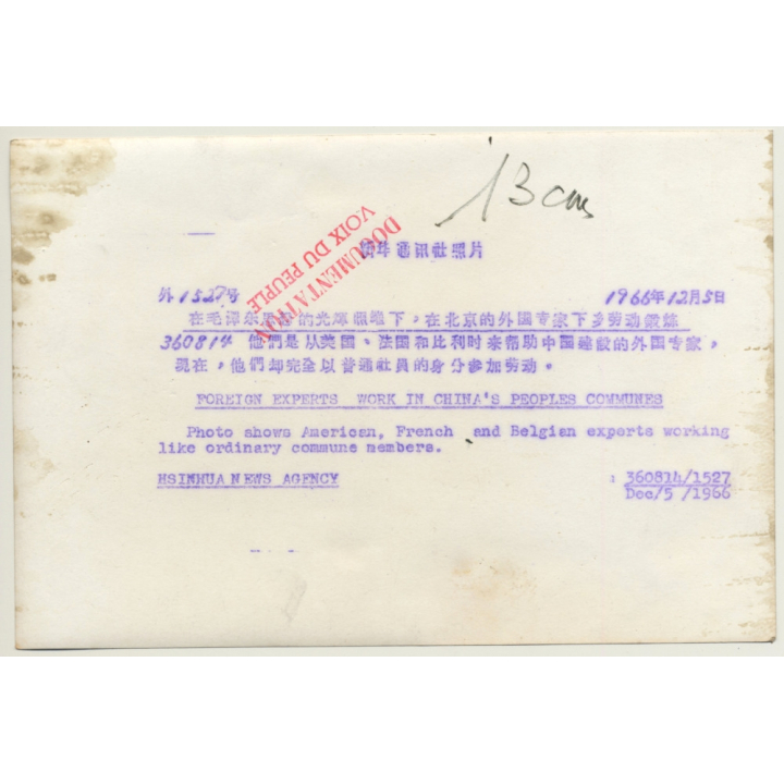 Foreign Experts Work In China's Peoples Communes / Culture Revolution (Vintage Press Photo 1966)