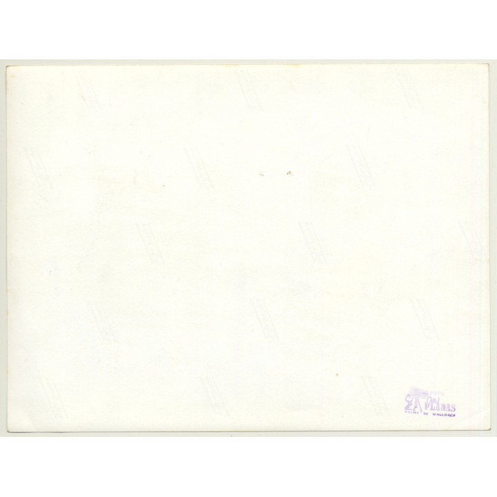 Mallorca / Casa Planas: Ivy Leaf - Hoja De Hiedra (Vintage Photo  ~1960s)