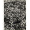 Mallorca / Baleares: Rock Formation - Detail (Vintage Photo  ~1960s)