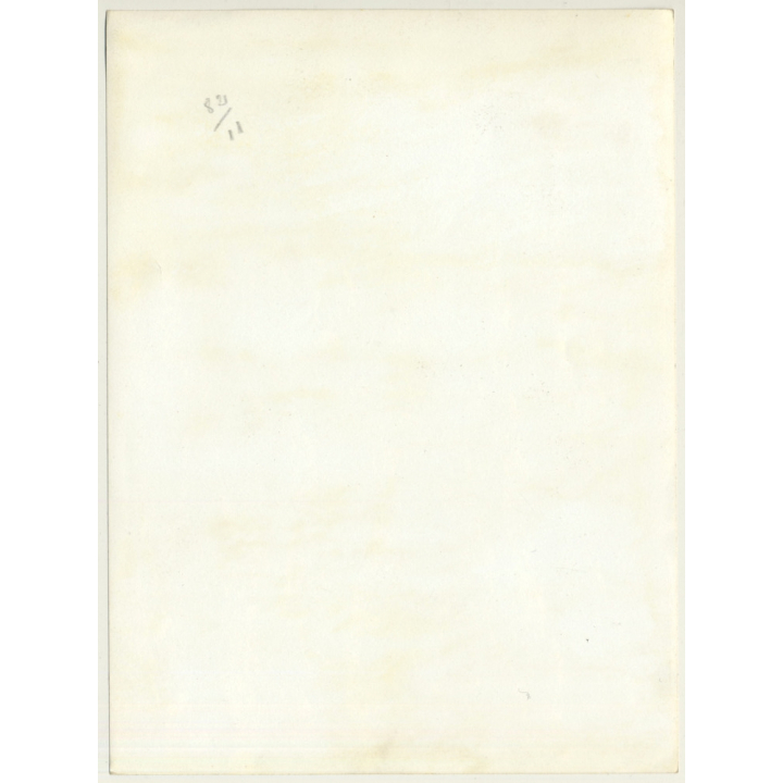 Mallorca / Baleares: Pine Tree Bark - Detail (Vintage Photo  ~1960s)