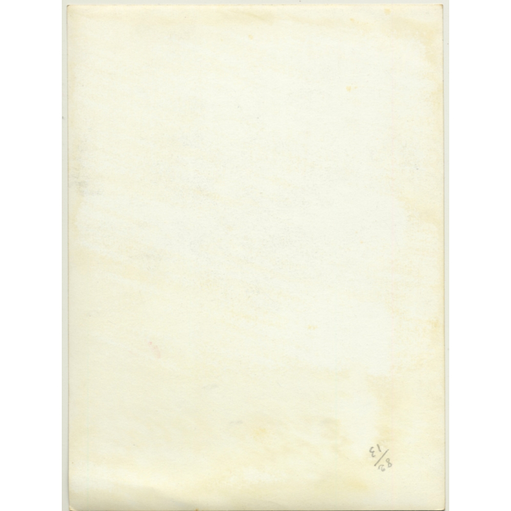 Mallorca / Baleares: Wild Grass - Detail / Pasto Salvaje (Vintage Photo  ~1960s)